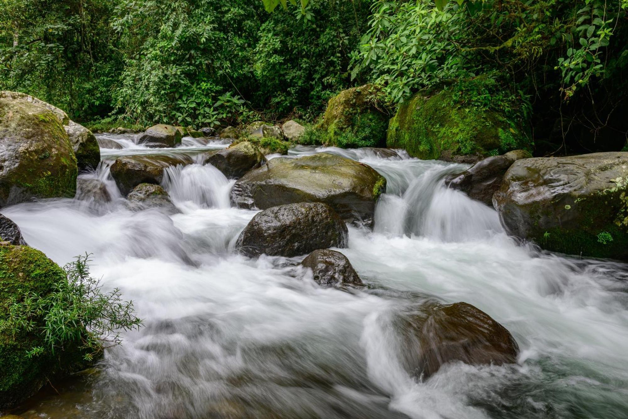 Hotel Rivel - Restaurant & Nature Retreat Turrialba Exteriér fotografie