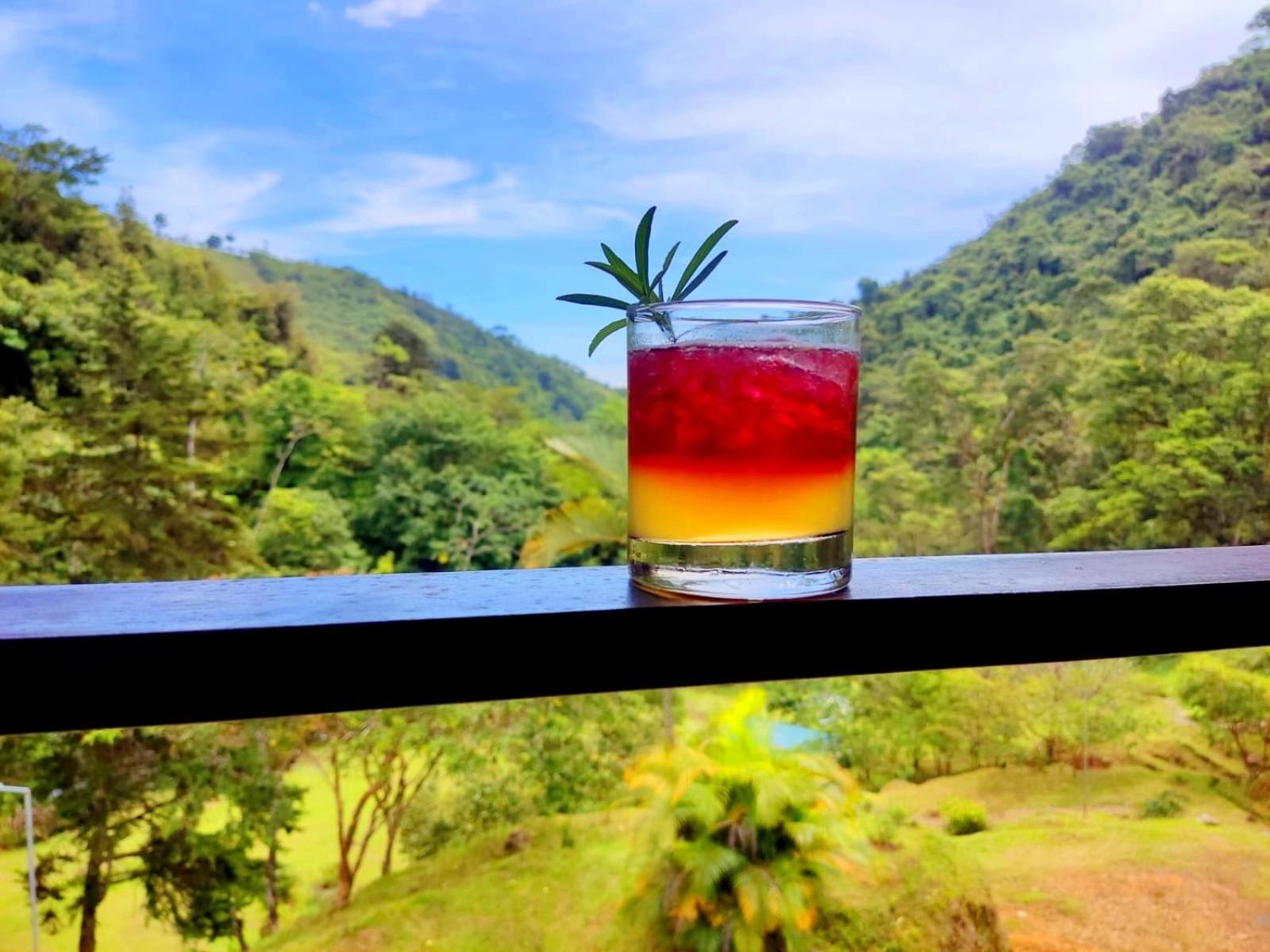 Hotel Rivel - Restaurant & Nature Retreat Turrialba Exteriér fotografie