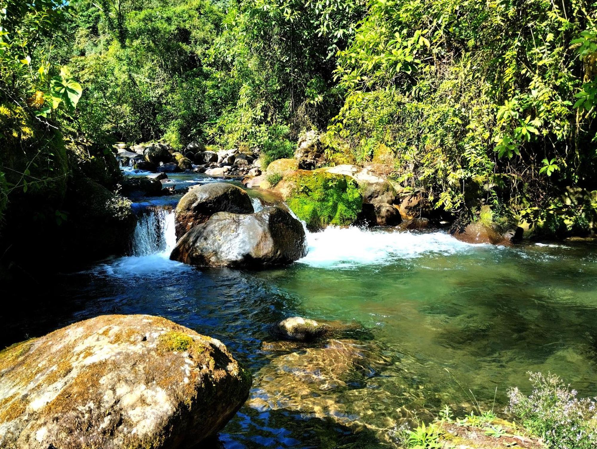 Hotel Rivel - Restaurant & Nature Retreat Turrialba Exteriér fotografie