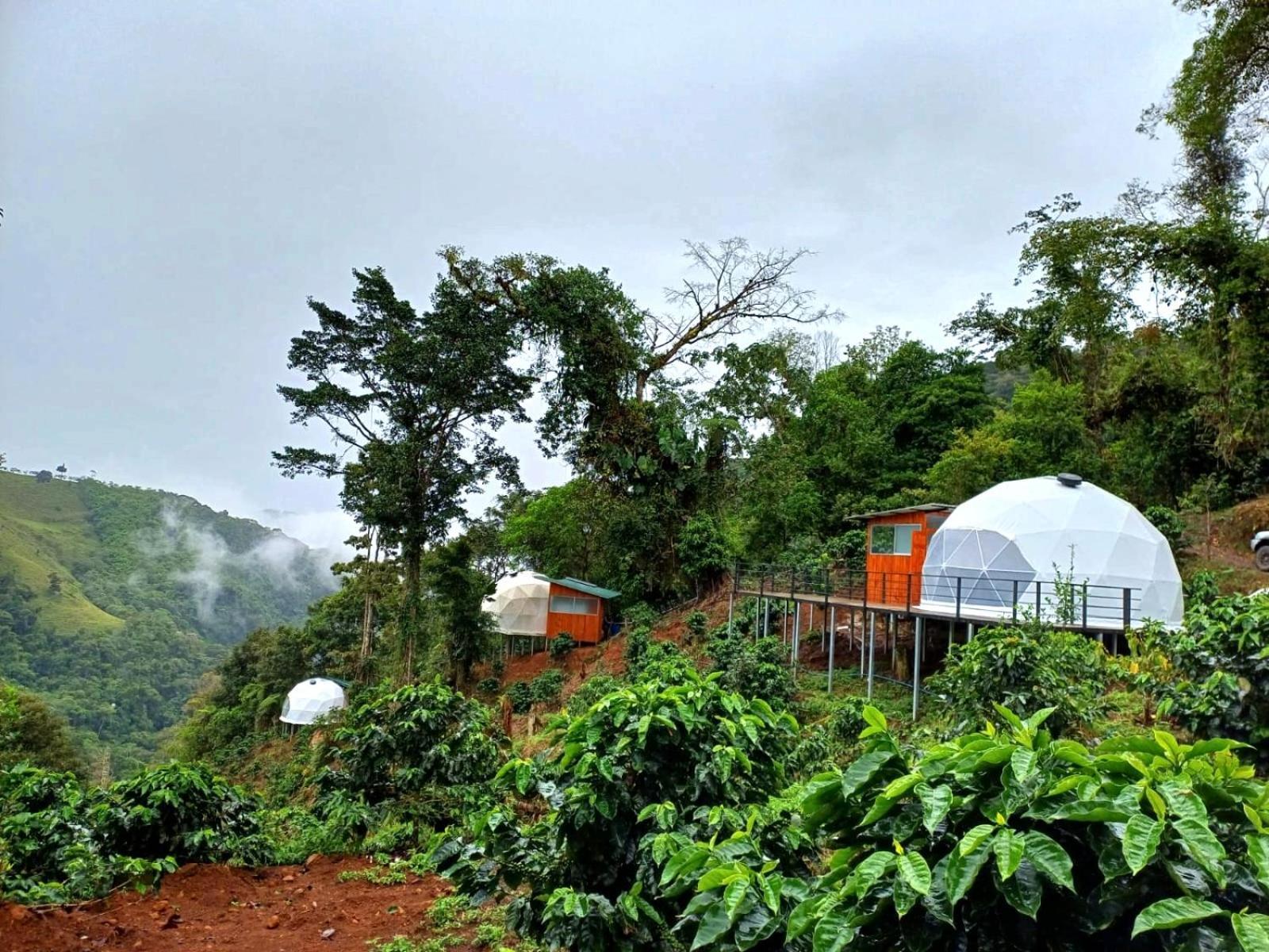 Hotel Rivel - Restaurant & Nature Retreat Turrialba Exteriér fotografie
