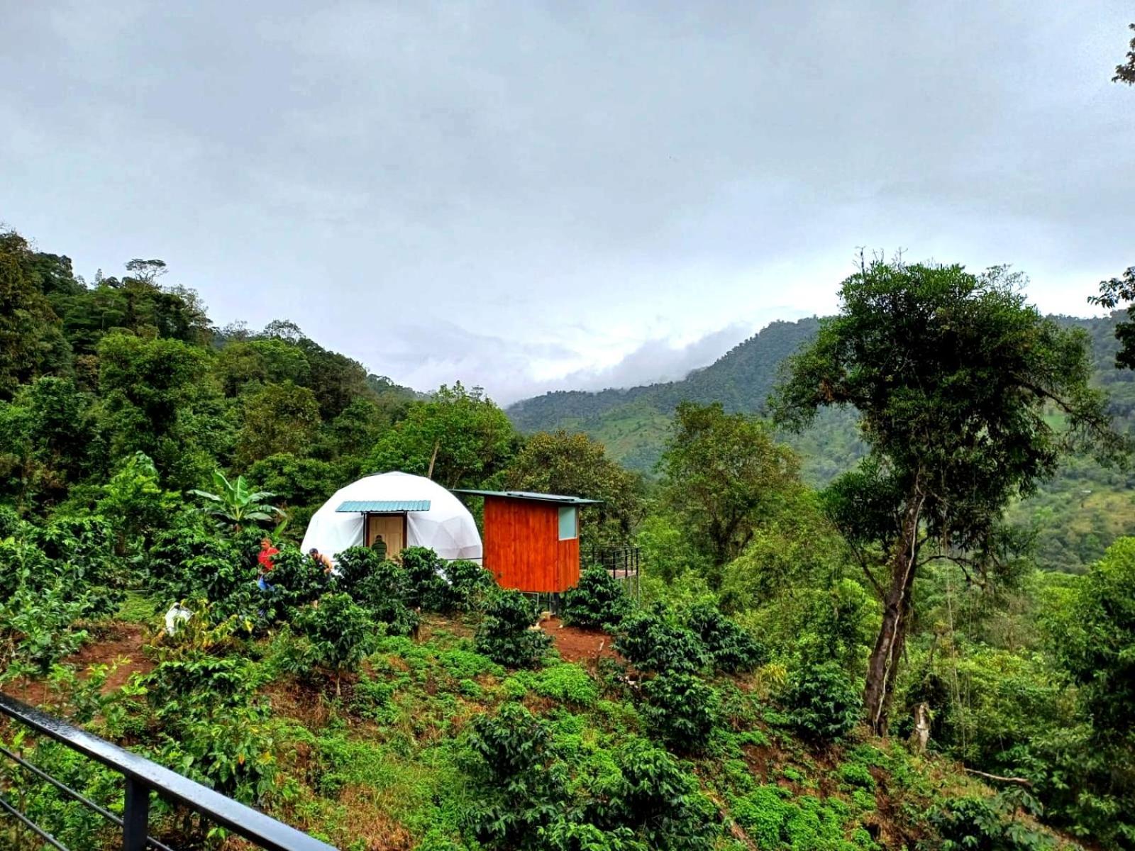 Hotel Rivel - Restaurant & Nature Retreat Turrialba Exteriér fotografie
