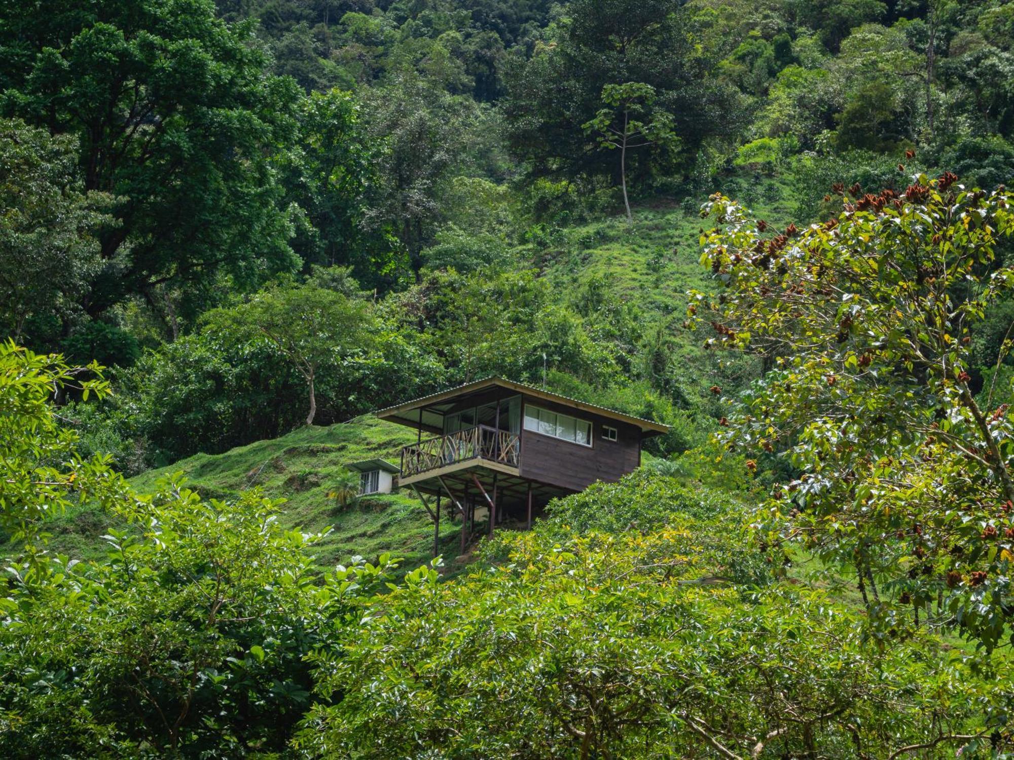 Hotel Rivel - Restaurant & Nature Retreat Turrialba Exteriér fotografie