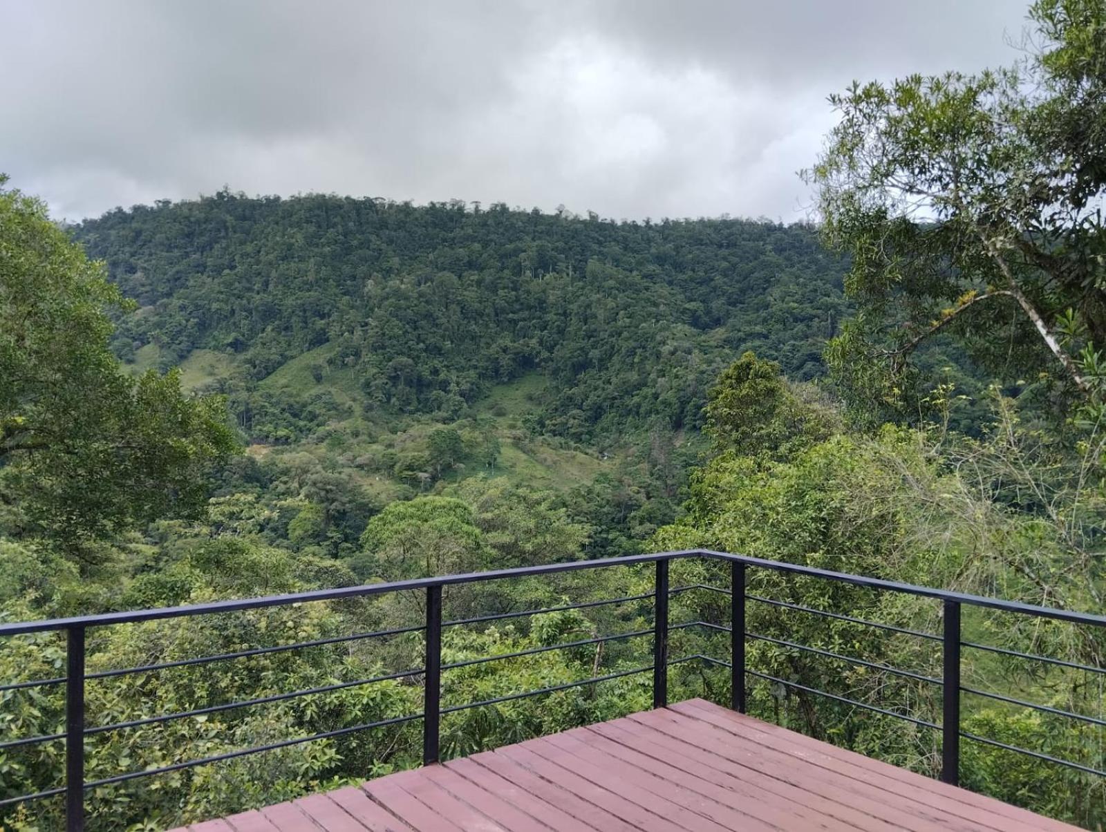 Hotel Rivel - Restaurant & Nature Retreat Turrialba Exteriér fotografie